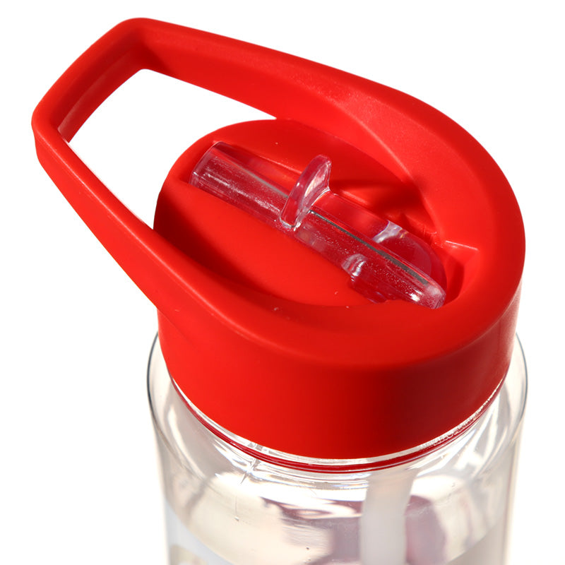 Reusable Welsh Dragon Wales Cymru 550ml Water Bottle with Flip Straw