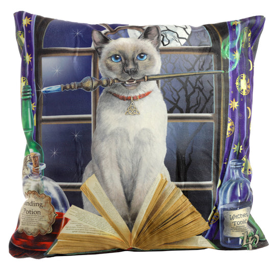 Cushion - Lisa Parker Hocus Pocus Cat