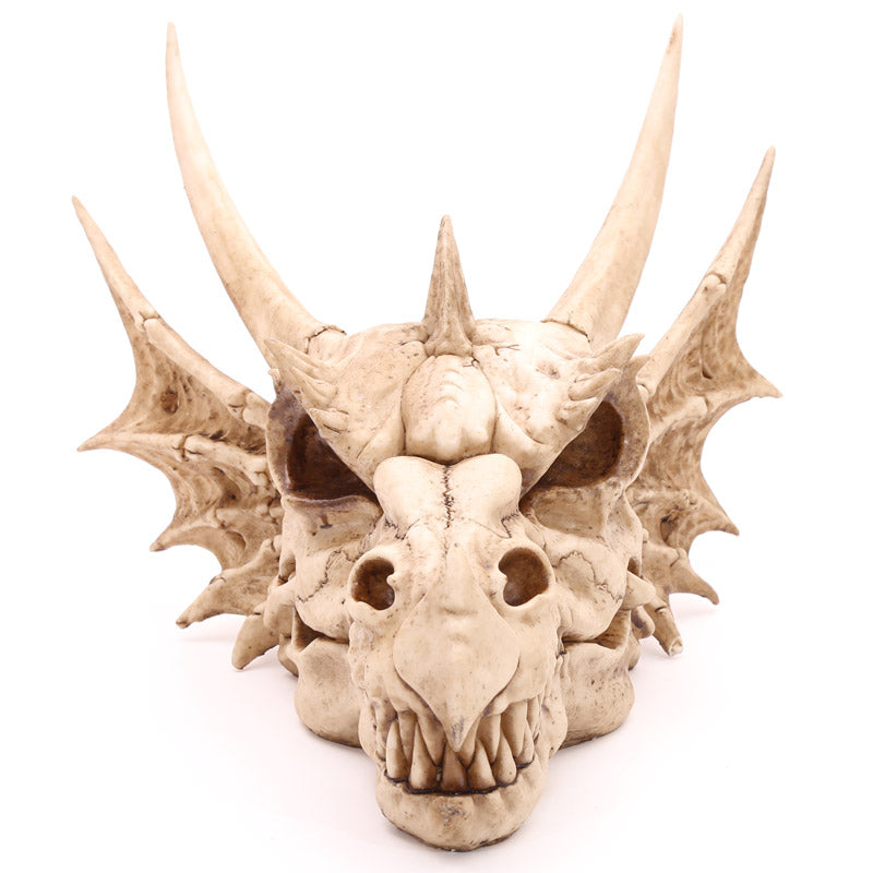 Decorative Fantasy Dragon Skull