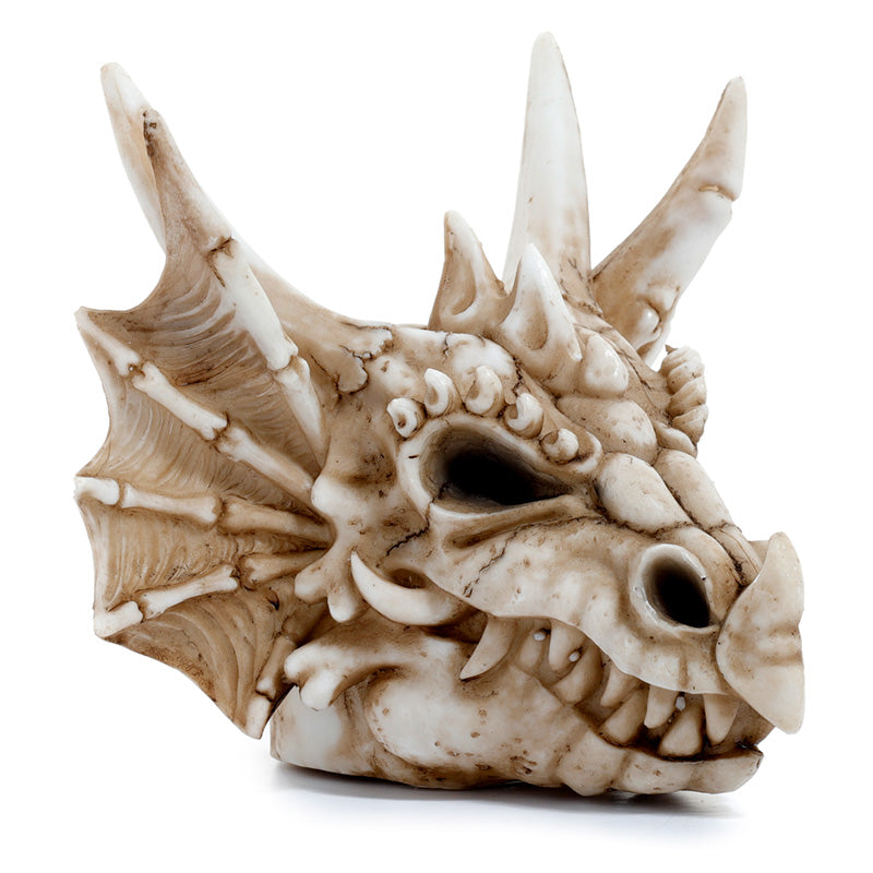 Shadows of Darkness Dragon Skull Money Box