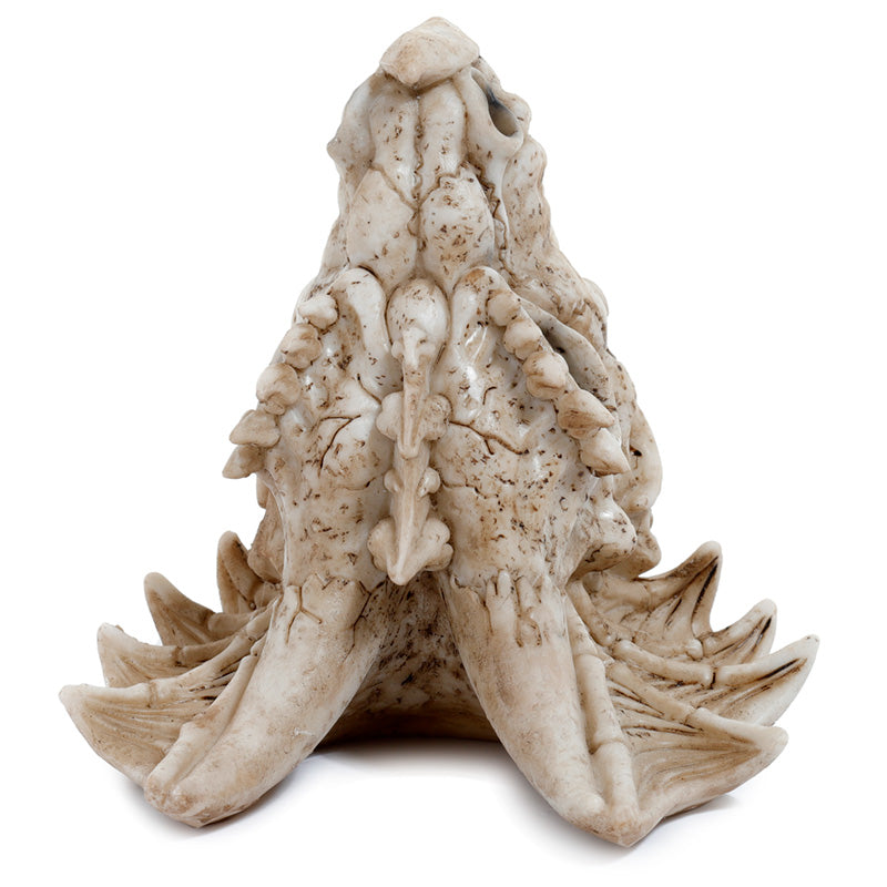 Shadows of Darkness Dragon Skull Incense Cone Burner