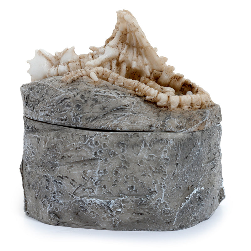 Shadows of Darkness Sleeping Bones Dragon Skeleton Trinket Box