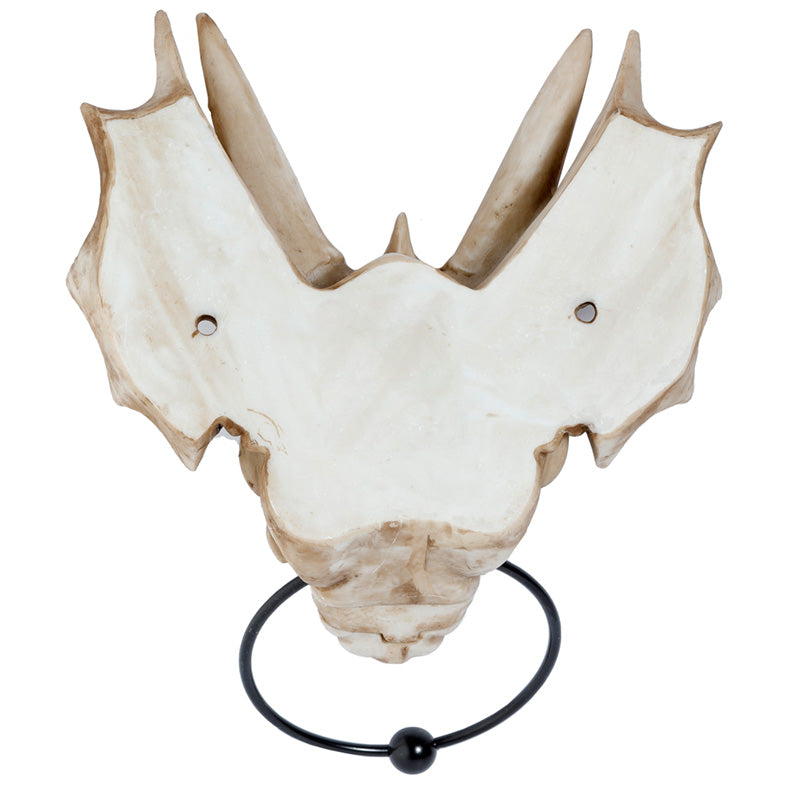 Shadows of Darkness Dragon Skull Door Knocker