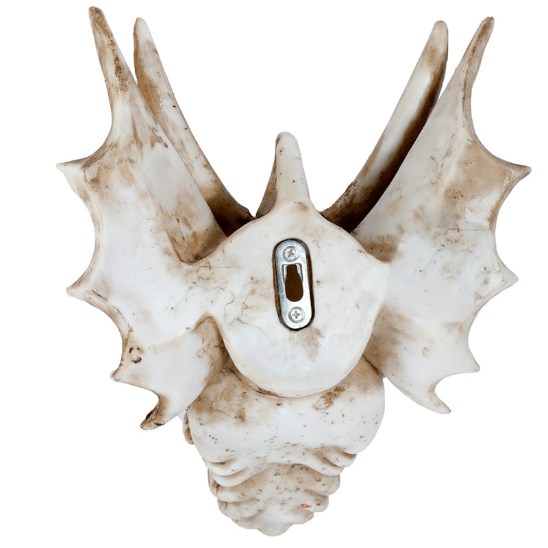 Shadows of Darkness Dragon Skull Wall Plaque