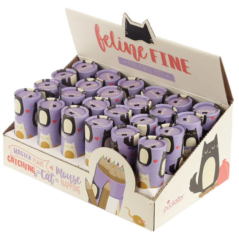 Fun Kids Colouring Pencil Tube - Cat Design