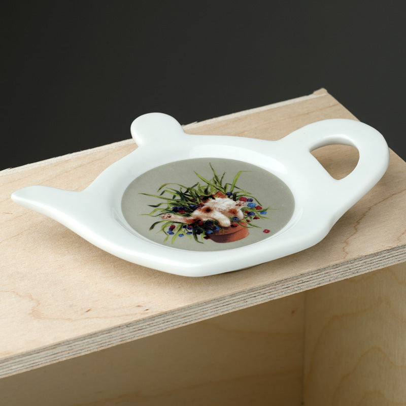 Porcelain Teabag Dish/Holder - Kim Haskins Cat in Plant Pot Green