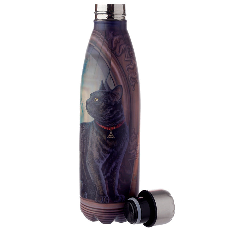 Reusable Stainless Steel Insulated Drinks Bottle 500ml - Lisa Parker Absinthe Cat