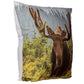 Decorative Moose Photo Cushion