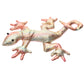 Collectable Gecko Design Medium Sand Animal