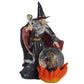 Collectable Spirit of the Sorcerer Wizard - Fire Dragon Snow Globe Waterball