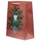 Kim Haskins Floral Cat in Fern Red Gift Bag - Large