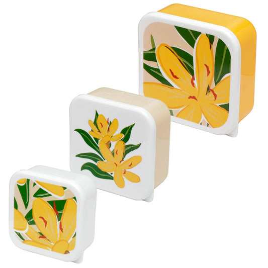 Lunch Boxes Set of 3 (M/L/XL) - Florens Hesperantha