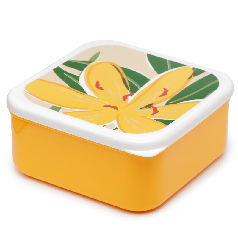 Lunch Boxes Set of 3 (M/L/XL) - Florens Hesperantha