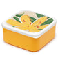 Lunch Boxes Set of 3 (M/L/XL) - Florens Hesperantha