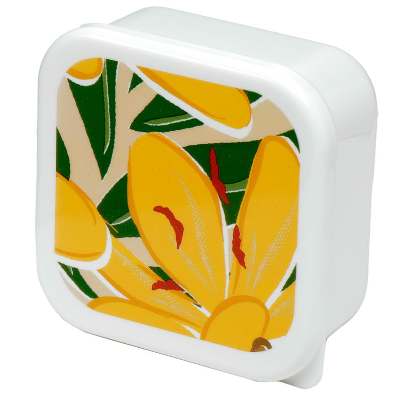 Lunch Boxes Set of 3 (M/L/XL) - Florens Hesperantha