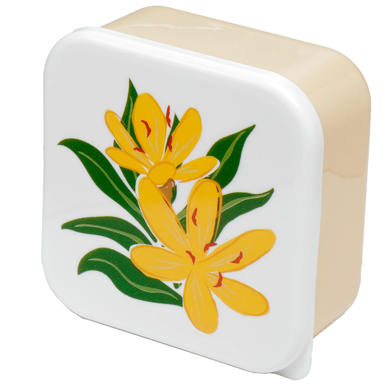 Lunch Boxes Set of 3 (M/L/XL) - Florens Hesperantha