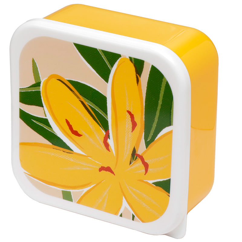 Lunch Boxes Set of 3 (M/L/XL) - Florens Hesperantha