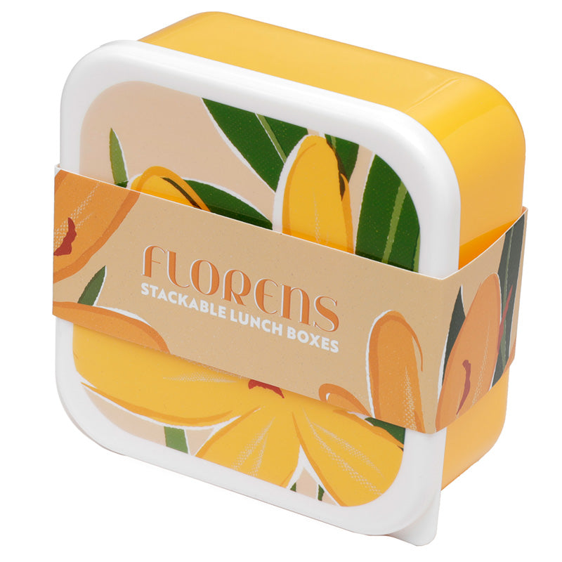 Lunch Boxes Set of 3 (M/L/XL) - Florens Hesperantha