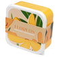 Lunch Boxes Set of 3 (M/L/XL) - Florens Hesperantha
