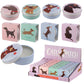 Funky Lip Balm in a Tin - Catch Patch Dog Design