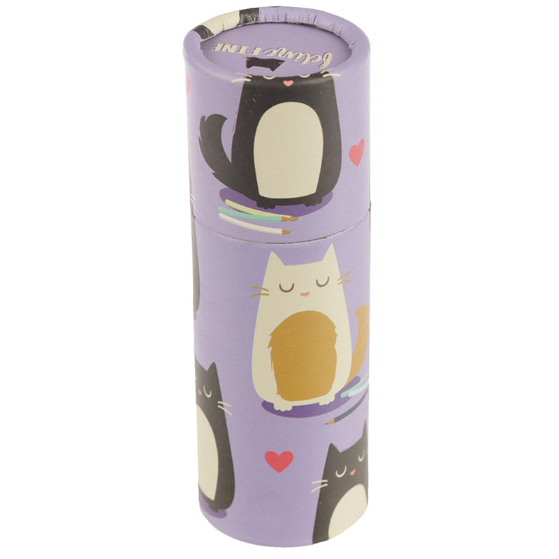 Fun Kids Colouring Pencil Tube - Cat Design