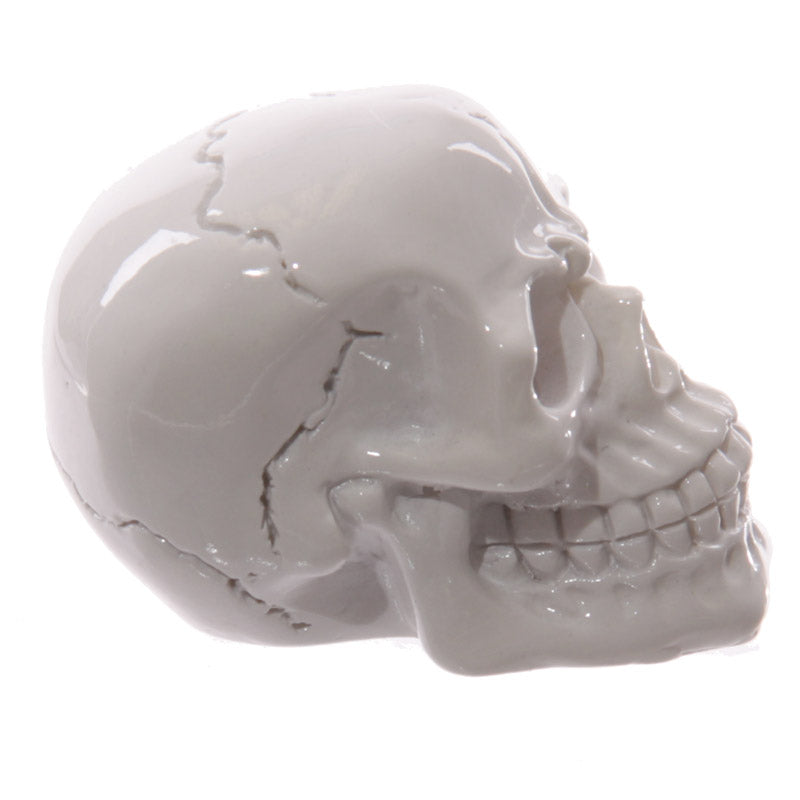 Novelty Glossy Small Skull Ornament