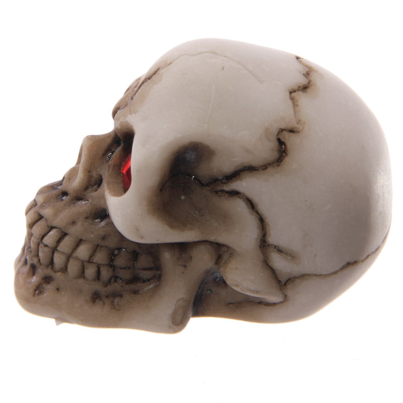 Novelty Red Eyed Skull Decoration