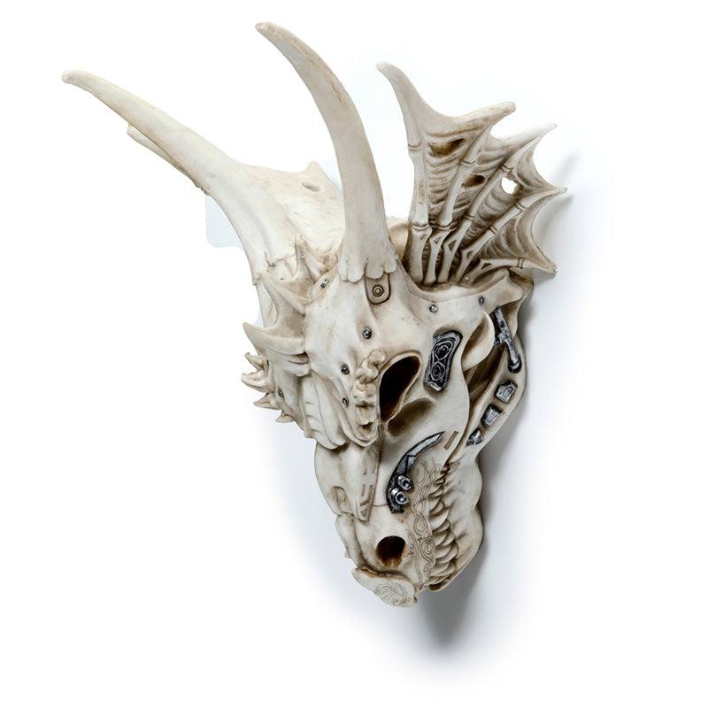 Large Dragon Skull Decoration with Metallic Detail