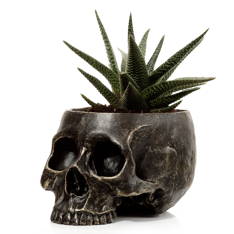 Skull Garden Planter