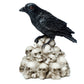 Crow Standing on Pile of Skulls Ornament