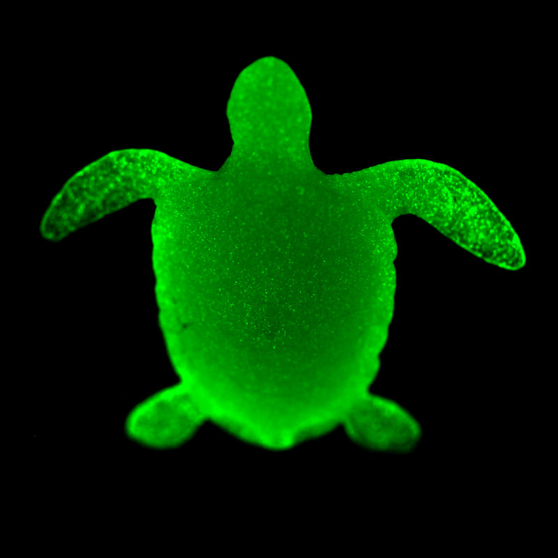 Fun Kids Sea Turtle Glow in the Dark Dig it Out Excavation Kit