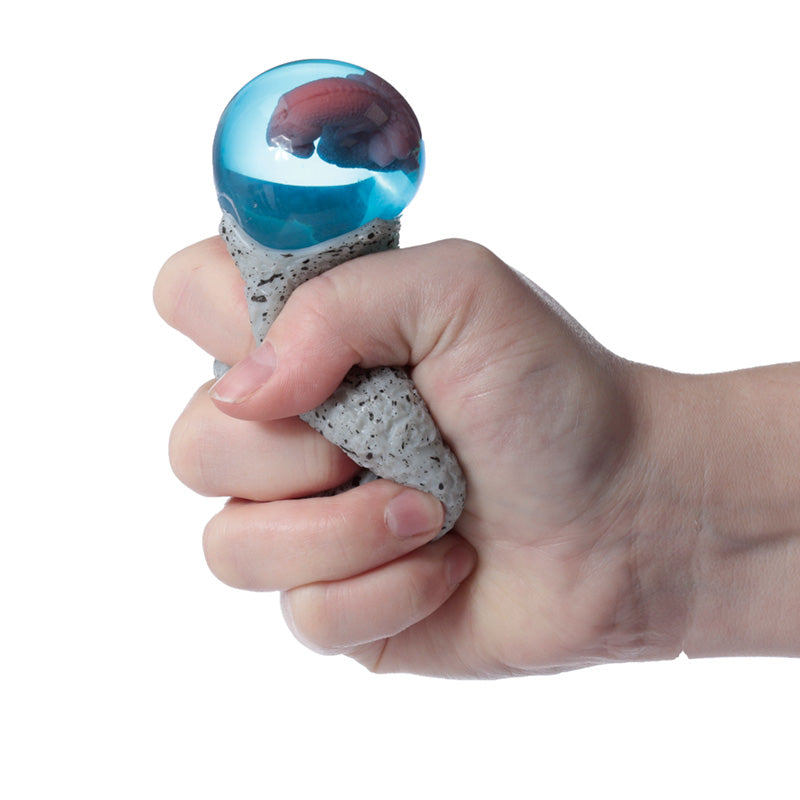 Fun Kids Squeezy Dino Egg