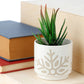 Decorative Stoneware Indoor Freestanding Planter/Small Plant Pot - Christmas Snowflake White Glaze Relief